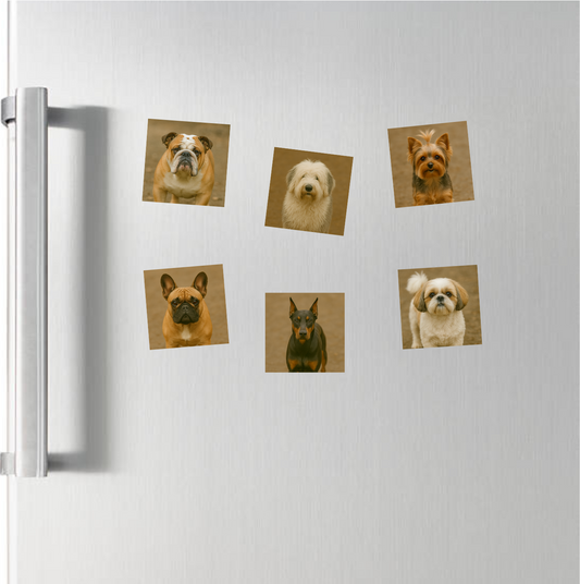 Photo Magnets (2x2)